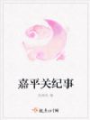 嘉平关纪事